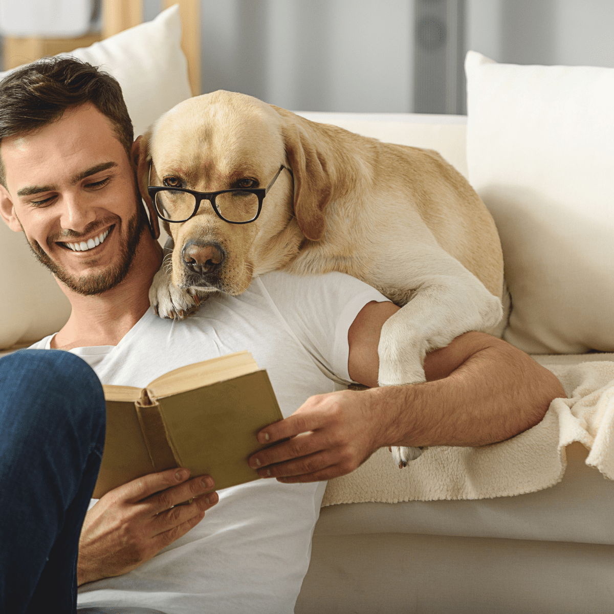 Dog reading with glasses