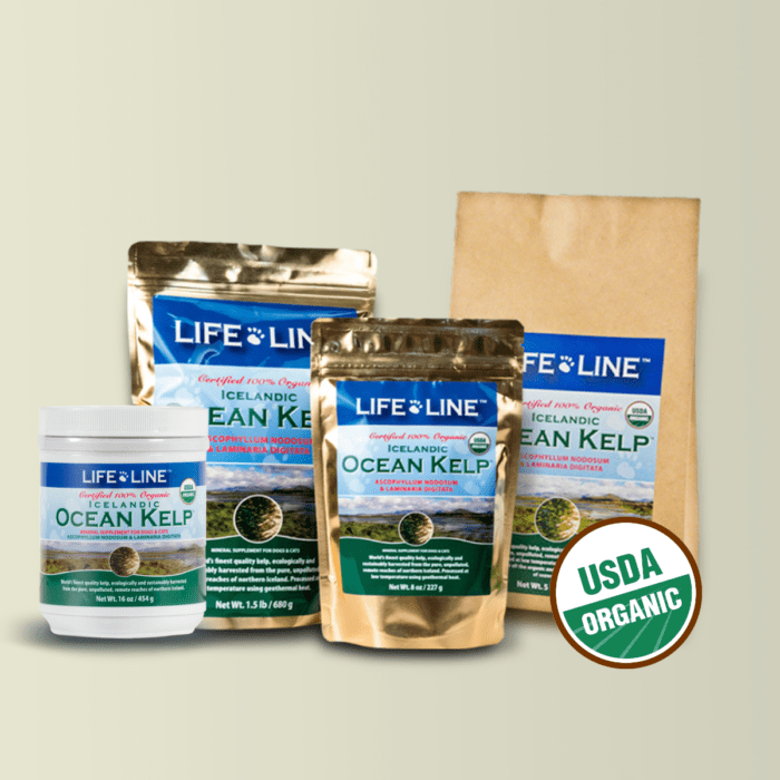 Organic Ocean Kelp™