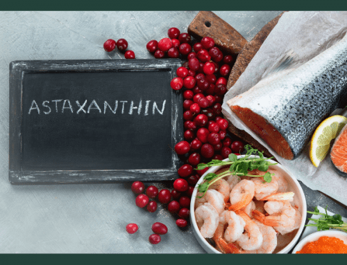 Astaxanthin Supports the Health of Your Pet