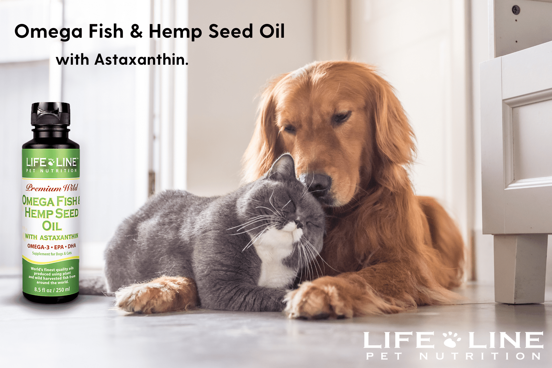 can dogs take astaxanthin